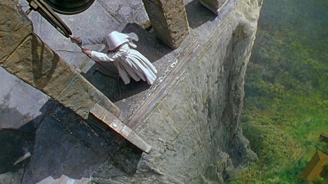 black narcissus